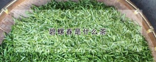 碧螺春是什么茶,第1图