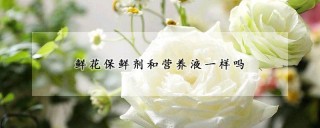 鲜花保鲜剂和营养液一样吗,第1图