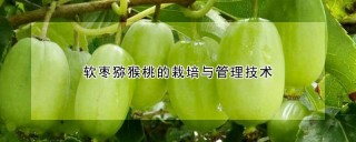 软枣猕猴桃的栽培与管理技术,第1图