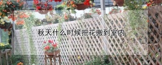 秋天什么时候把花搬到室内,第1图