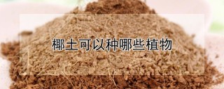 椰土可以种哪些植物,第1图