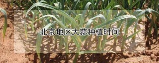 北京地区大蒜种植时间,第1图