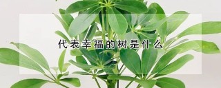 代表幸福的树是什么,第1图