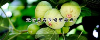 无花果春季修剪要点,第1图