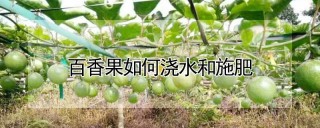 百香果如何浇水和施肥,第1图