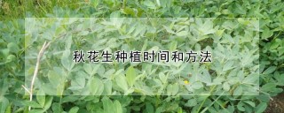 秋花生种植时间和方法,第1图