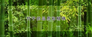 竹子的品质和精神,第1图