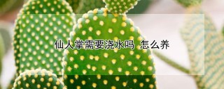 仙人掌需要浇水吗 怎么养,第1图