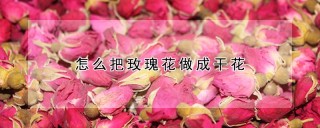 怎么把玫瑰花做成干花,第1图