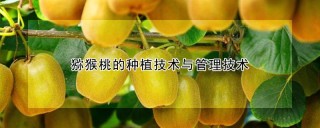 猕猴桃的种植技术与管理技术,第1图