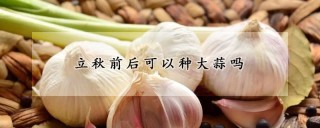 立秋前后可以种大蒜吗,第1图