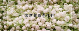 茉莉花茶有几种,第1图