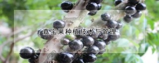 嘉宝果种植技术与管理,第1图