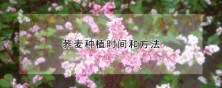 荞麦种植时间和方法,第1图