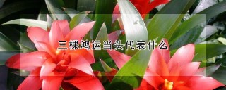 三棵鸿运当头代表什么,第1图