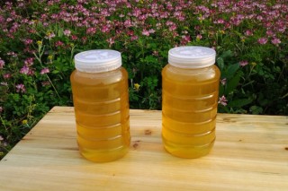 正宗土蜂蜜多少钱一斤 正宗土蜂蜜价格100-300元/斤,第1图