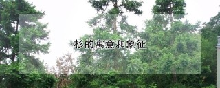 杉的寓意和象征,第1图