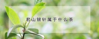 君山银针属于什么茶,第1图