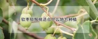 软枣猕猴桃适合什么地方种植,第1图