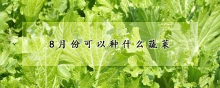 8月份可以种什么蔬菜,第1图