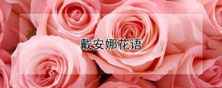 戴安娜花语,第1图