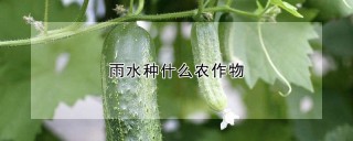 雨水种什么农作物,第1图