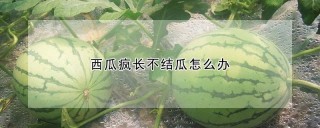 西瓜疯长不结瓜怎么办,第1图