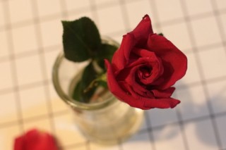 玫瑰花怎么处理不浪费，水培保存或制成干花,第1图
