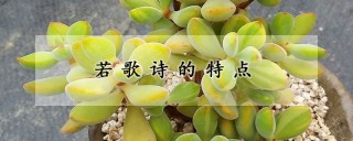 若歌诗的特点,第1图