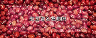 红豆怎么做肥料,第1图