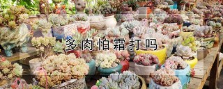 多肉怕霜打吗,第1图