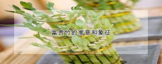 富贵竹的寓意和象征,第1图