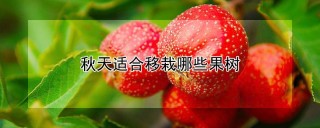 秋天适合移栽哪些果树,第1图