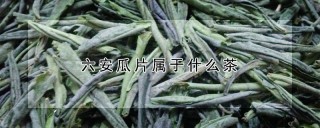 六安瓜片属于什么茶,第1图