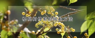 樱桃树修剪时间和方法,第1图