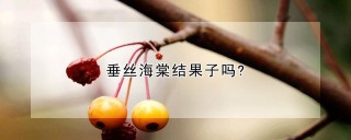 垂丝海棠结果子吗?,第1图