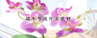 端午节送什么花好,第1图