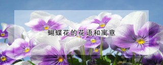 蝴蝶花的花语和寓意,第1图