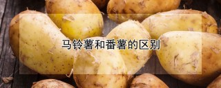 马铃薯和番薯的区别,第1图