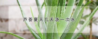 芦荟夏天几天浇一次水,第1图