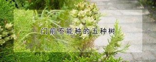 门前不能种的五种树,第1图