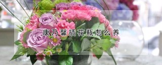 康乃馨插花瓶怎么养,第1图