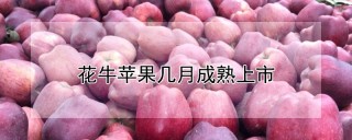 花牛苹果几月成熟上市,第1图