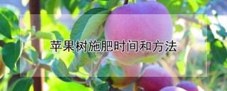 苹果树施肥时间和方法,第1图