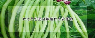 六七月份适合种植什么农作物,第1图