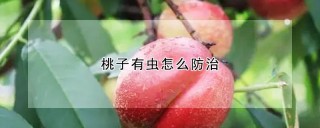 桃子有虫怎么防治,第1图