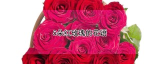 5朵红玫瑰的花语,第1图