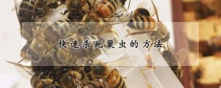 快速杀死巢虫的方法,第1图