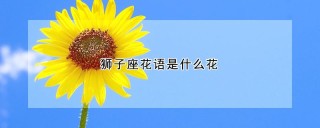 狮子座花语是什么花,第1图