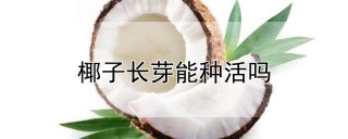 椰子长芽能种活吗,第1图